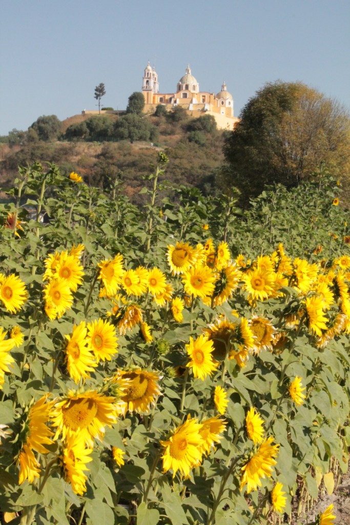 This image has an empty alt attribute; its file name is img_5851.jpg