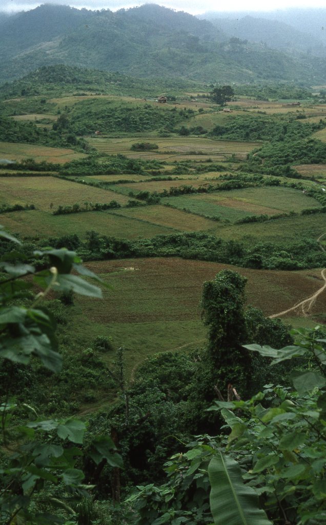 This image has an empty alt attribute; its file name is haeder-014.jpg